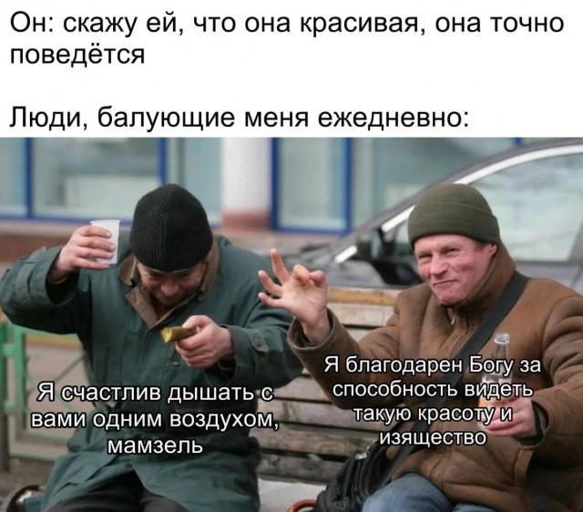 Смешные картинки с надписями и чужой кот
