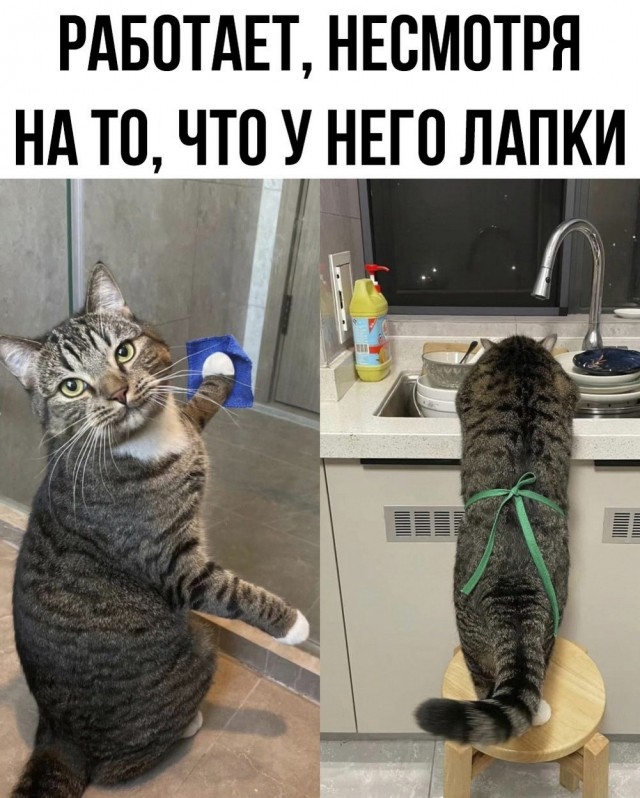 Еб**ины