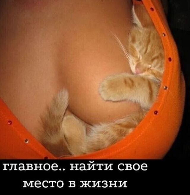 Забавные и не очень скромные картинки - 3