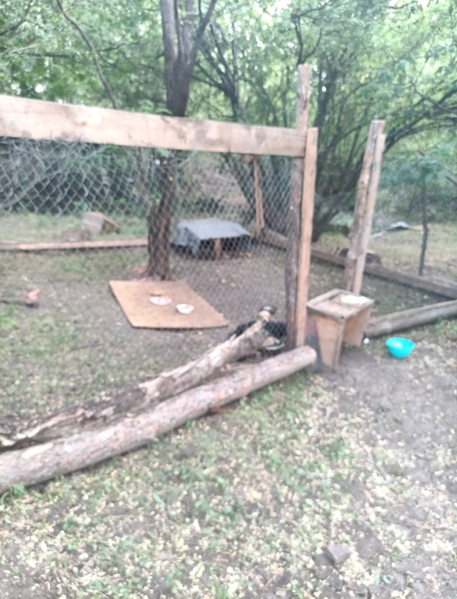 Барбулесики.