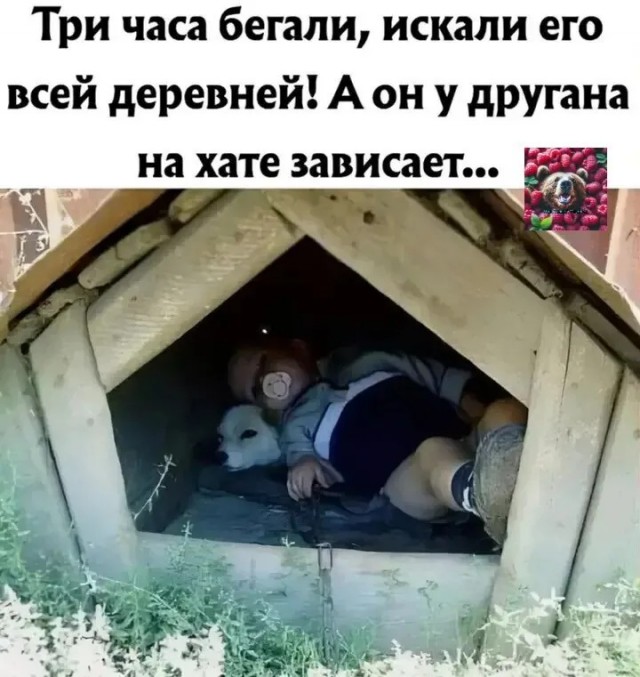 Когда зашёл к другу в гости.