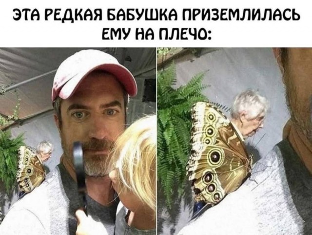 Завалялось тут случайно немного забавных картинок