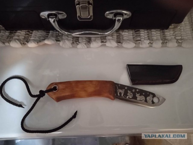 Кошачий нож