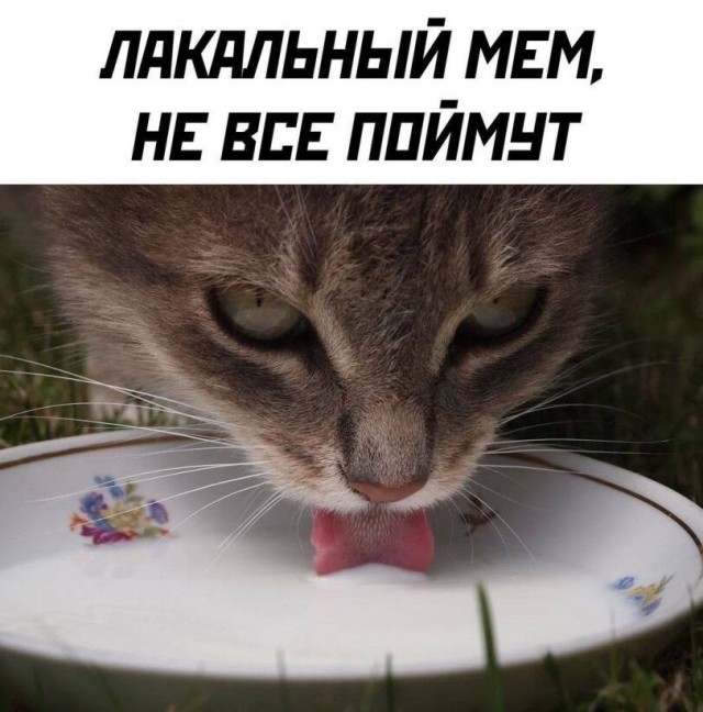 Среда обитания 0.1
