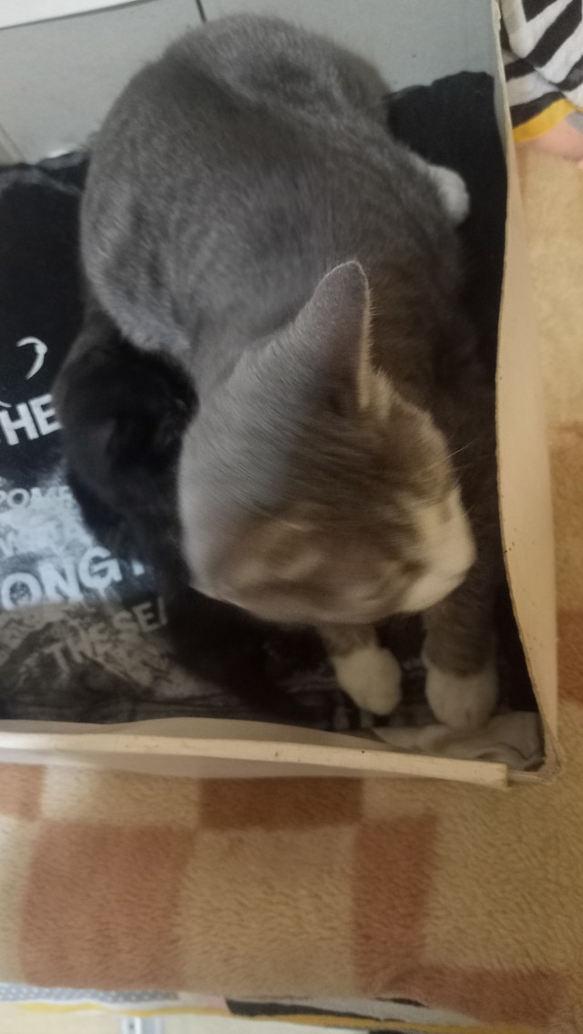 А у меня во чё есть