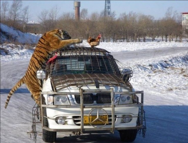 Подборка фотографий из серии " За секунду до.."