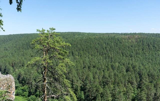 Деревенская Америка - 10