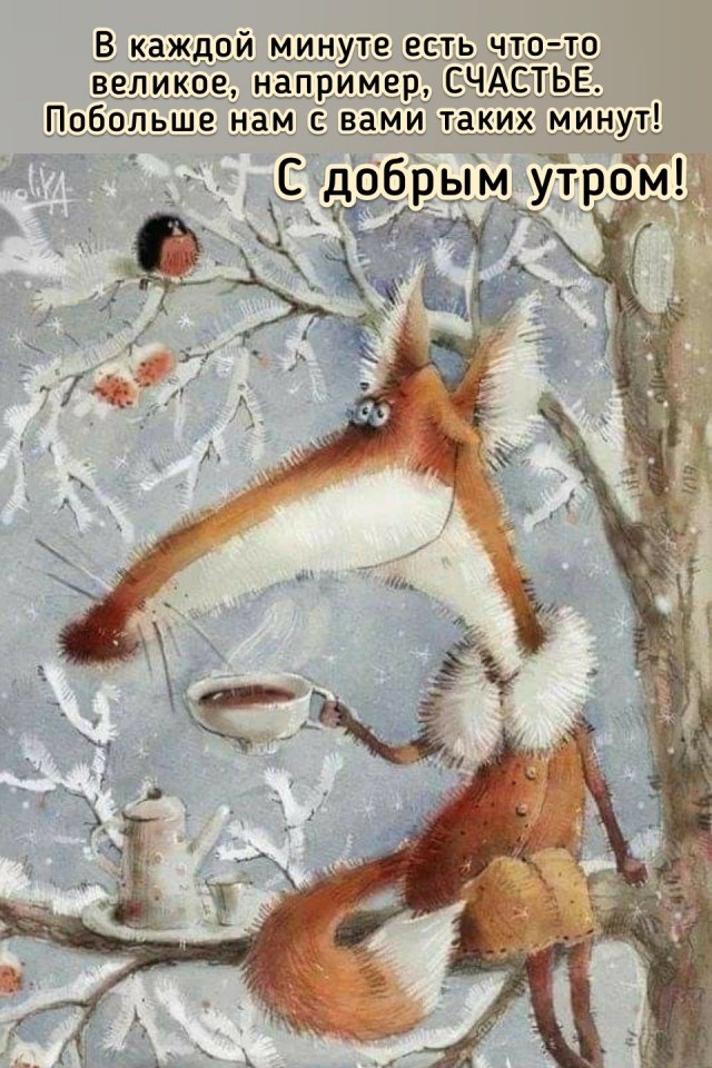 Прикольные и просто красивые картинки 27.02.2026