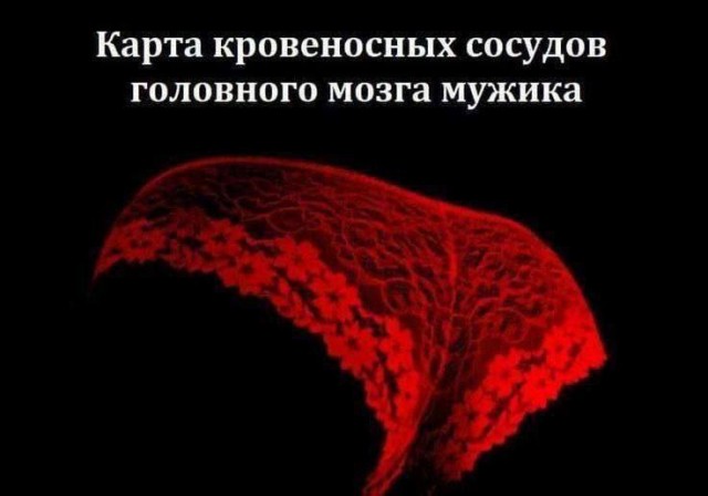 Забавные и не очень скромные картинки - 29
