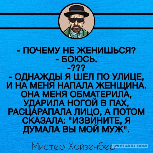 Веселые картинки в пятницу (17.04)