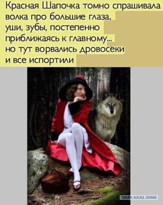 Субботние картинки
