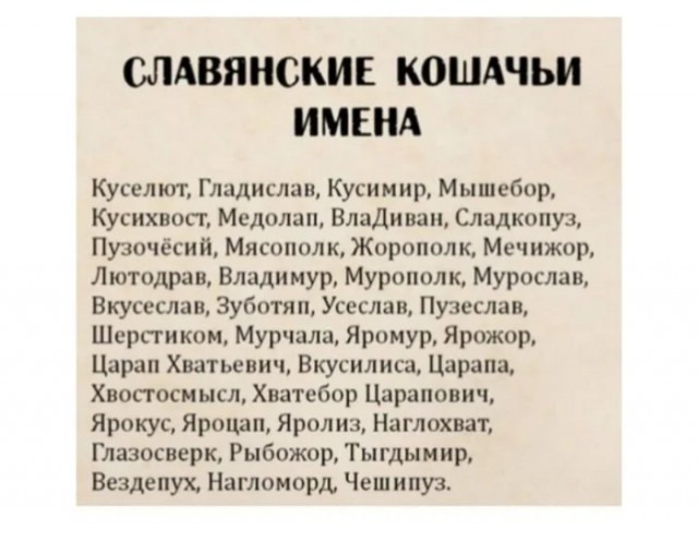 Воскресные картинки