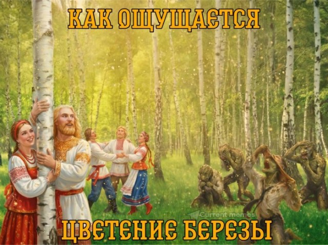 Картинки для деградации 207 (разной степени свежести)