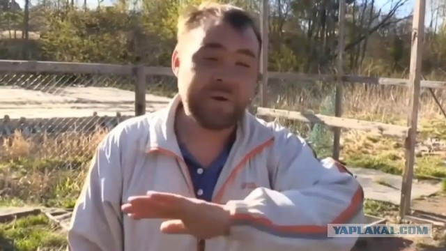 В России заблокировали Python