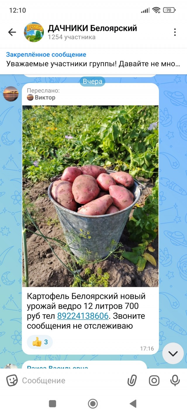 Ночной, дожор. Дачный.