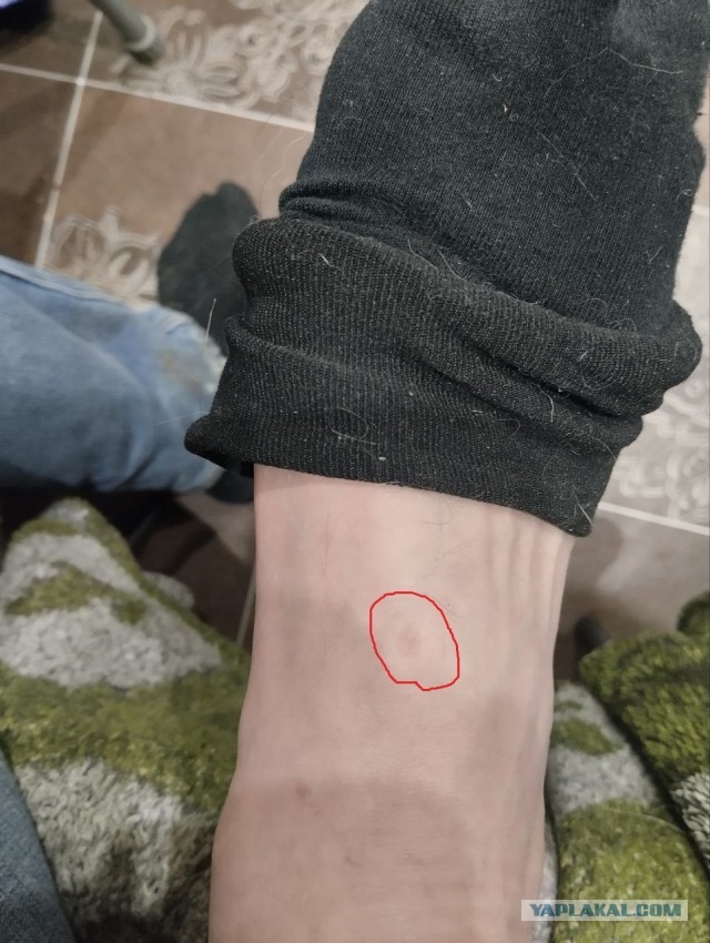 Это же очевидно