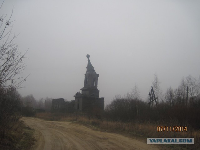 Я один такой дурачок, или нас много?
