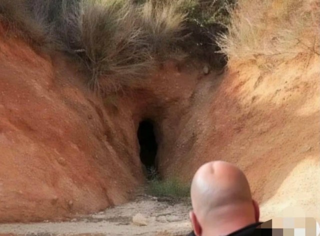 *БАЯН*Почти по Фрейду