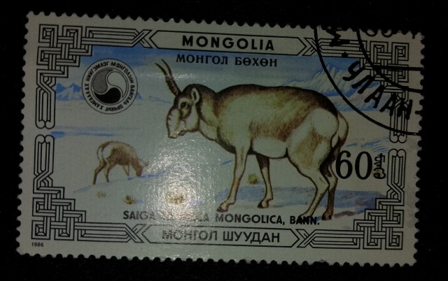 О Монголии пару слов