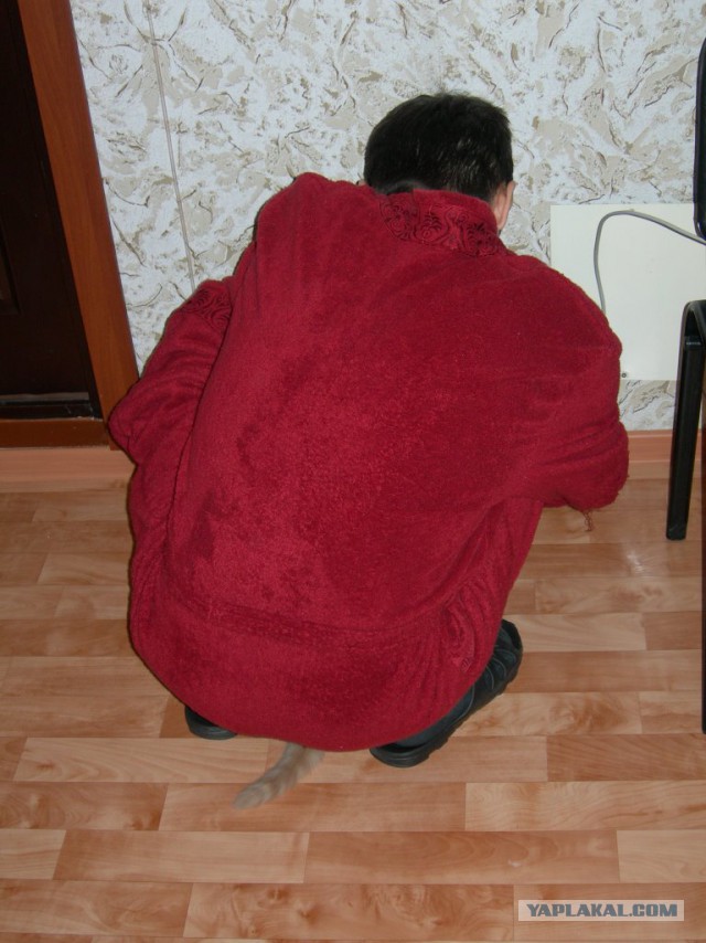 Не про олимпиаду