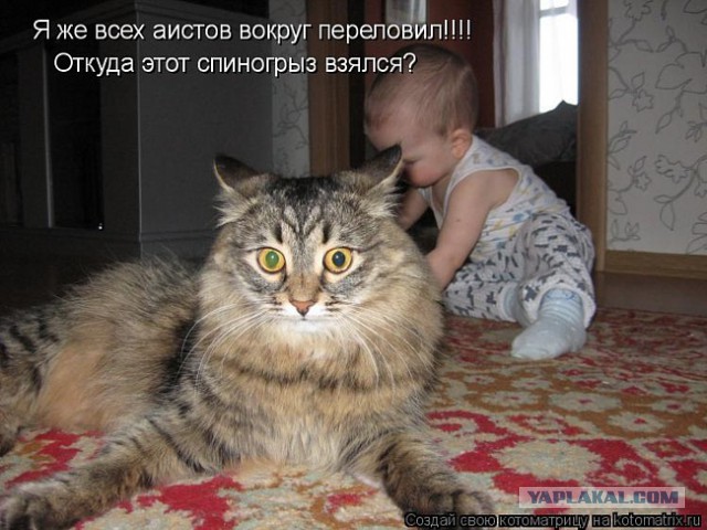 ДеткоВторник