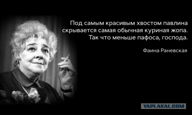 Эта кошка с шикарными глазами выглядит безупречно
