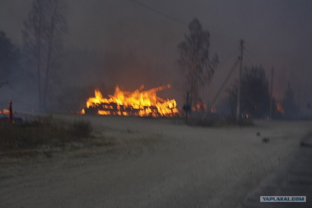 Пожары в рязанской области