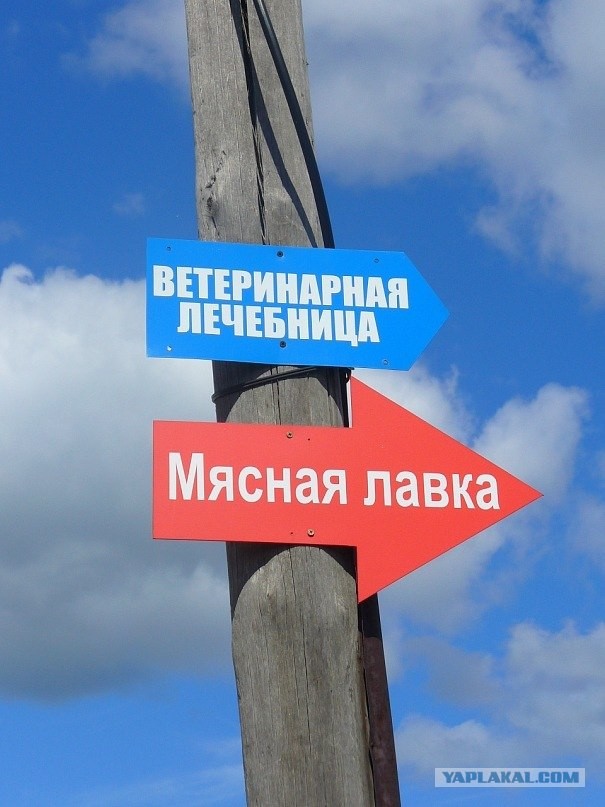 Приходите к нам лечиться...