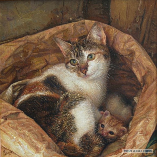 Рисованный котовторник
