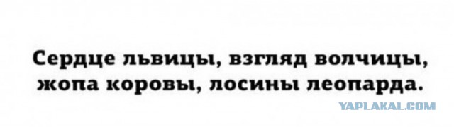 Смешные картинки, приколы, комментарии и прочее...