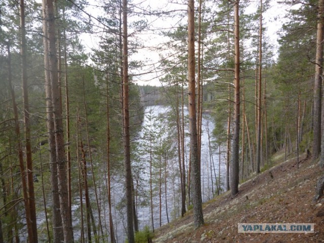 Поход: Карелия, река Шуя, женщина, байдарка.