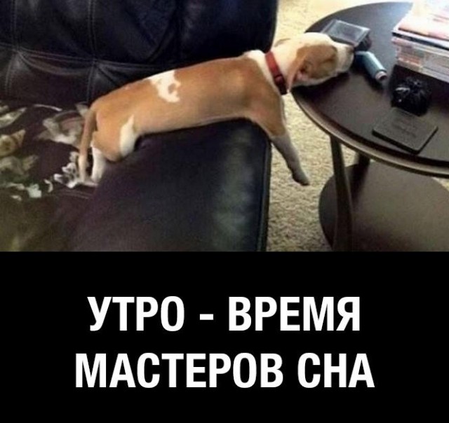 Сборник "баянов" со всего Интернета - 2