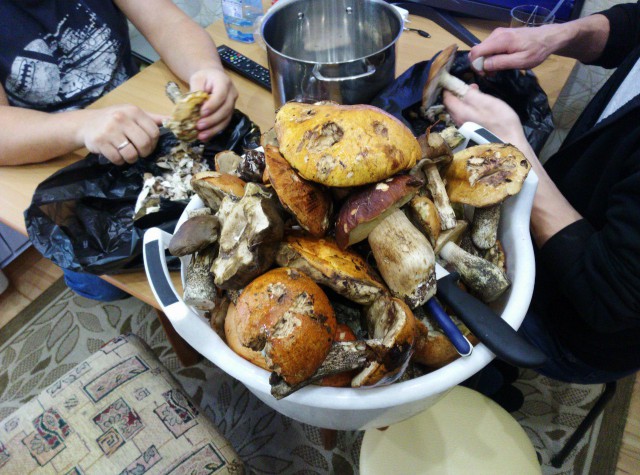 Поездка на Кольский полуостров.