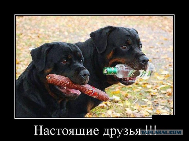 Картинки на пятницу