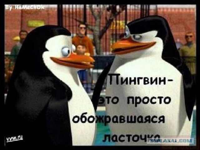 Биатлон сезон 2015/2016. Чемпионат России.