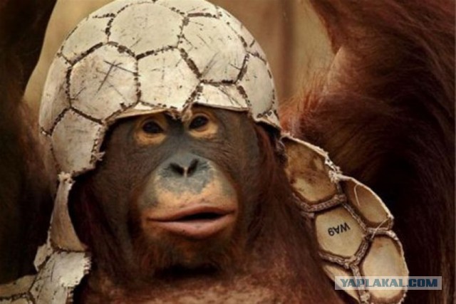 Я знаю твой дом я палюбому тибе наюду тибе конец