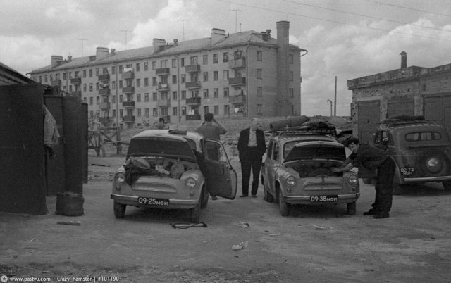 Полтора десятка "небоянных" фотографий