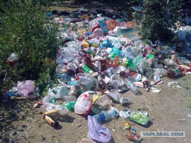 Кирдык дикому отдыху в Крыму. Спасибо товарищам из Минэкологии Крыма!