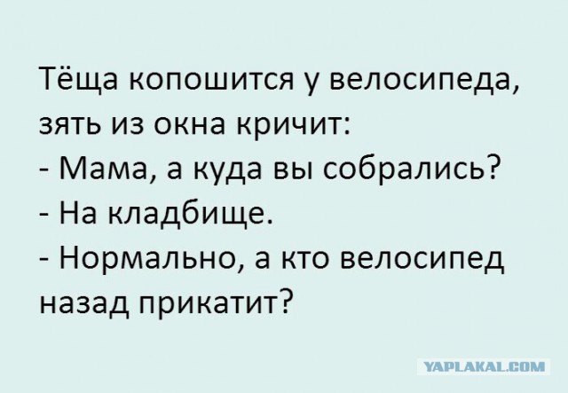 Забавные комментарии, шутки и фразы из этих ваших интернетов