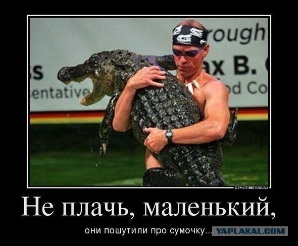 Старые добрые баяны, на случай если кто то стал забывать