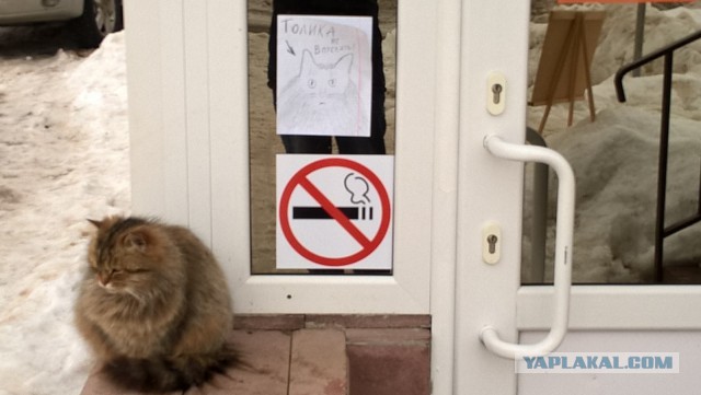Забота