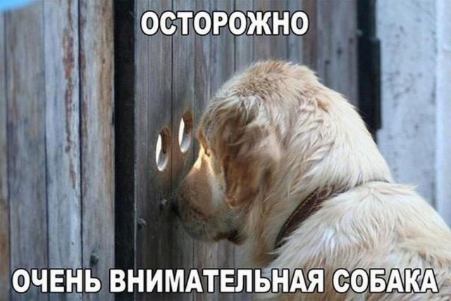 Подборка интересных и веселых картинок