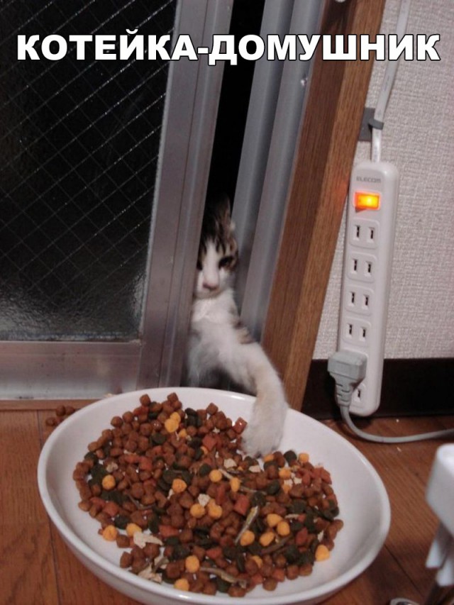 Немного милоты
