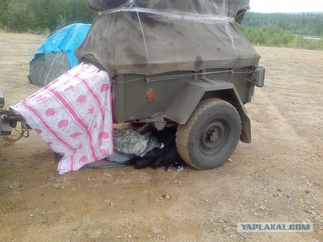 Командировка. В леса