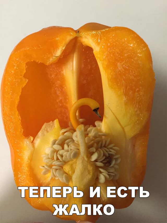 Нестандартный юмор