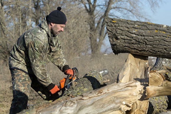 «Вам нужен лес — восстанавливайте нам лес»Россия может приостановить продажу древесины в Китай