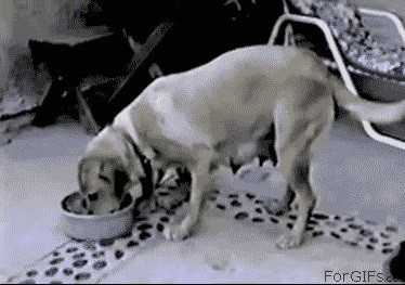 Ибо нех@й!