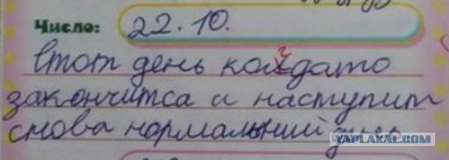 Стырнета