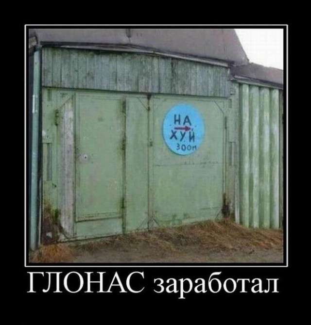 Чуток картинок 24.06.19