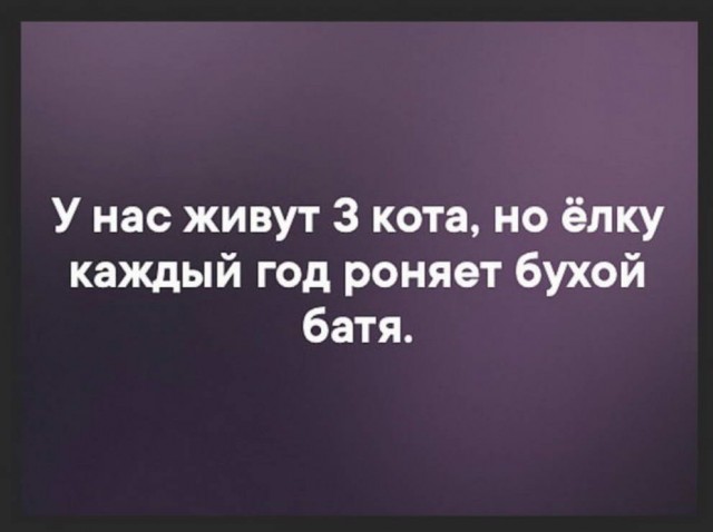 Бредзона из картинок